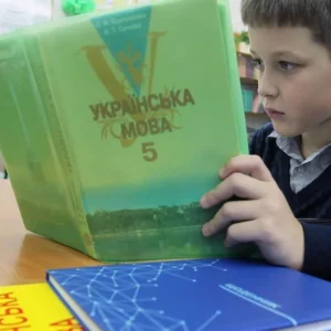 На які питання відповідають самостійні частини мови?