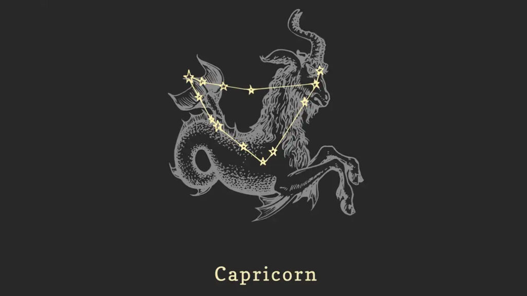 Capricorn: Brief Description of the Zodiac Sign