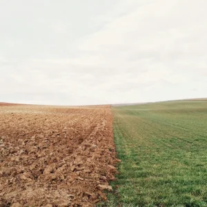 What is Soil? Structure and Composition of Soil. What is Soil Made Of?