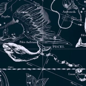Where the Pisces constellation is located