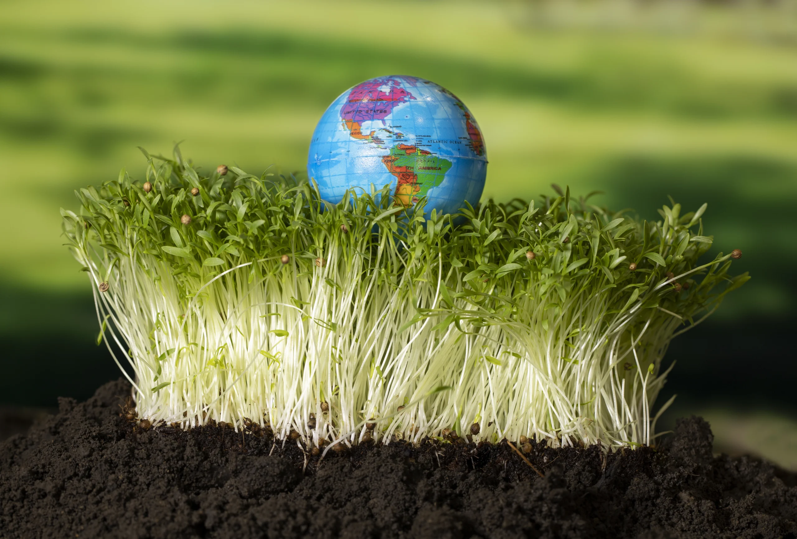 What is the biosphere in simple terms