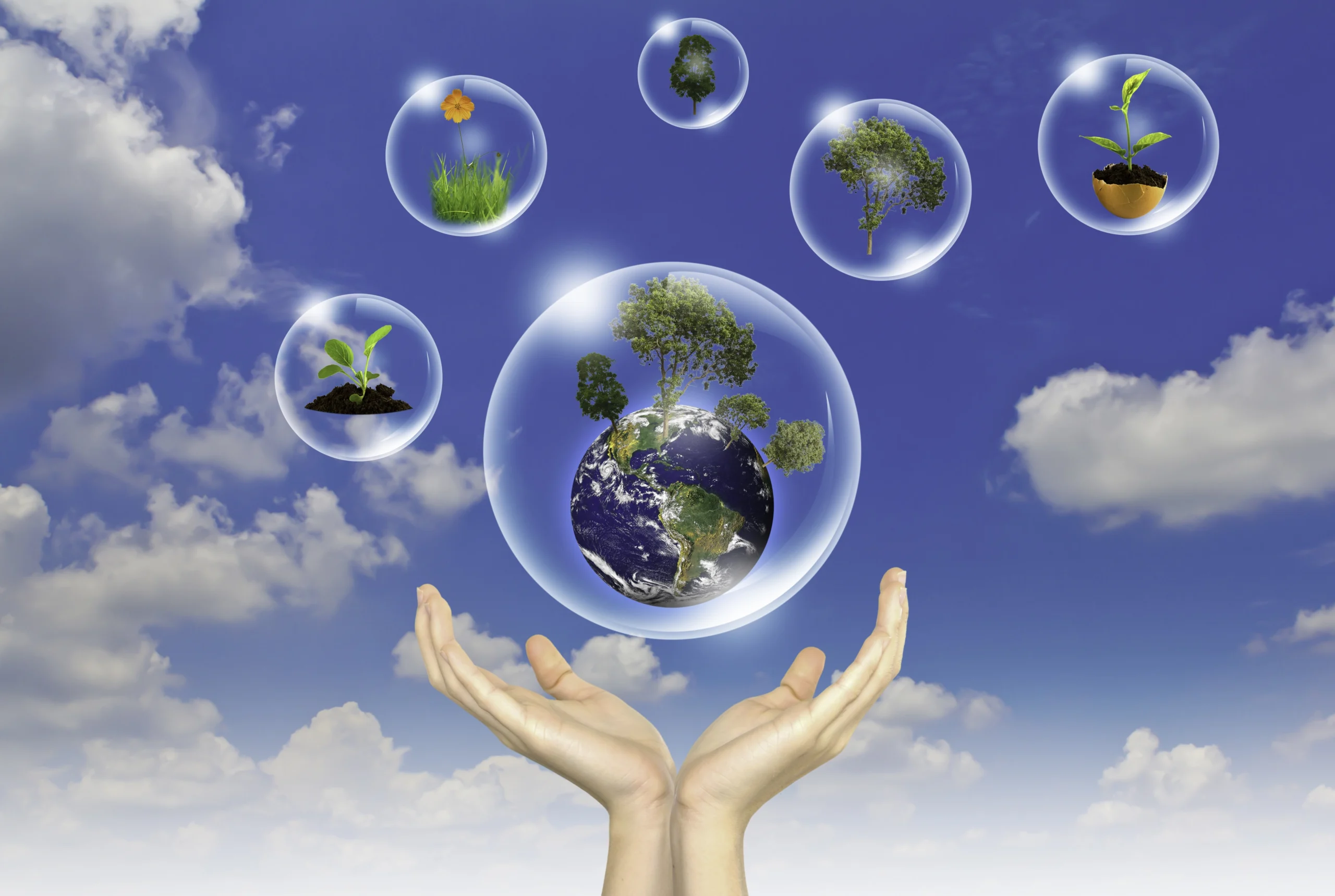 Biosphere definition